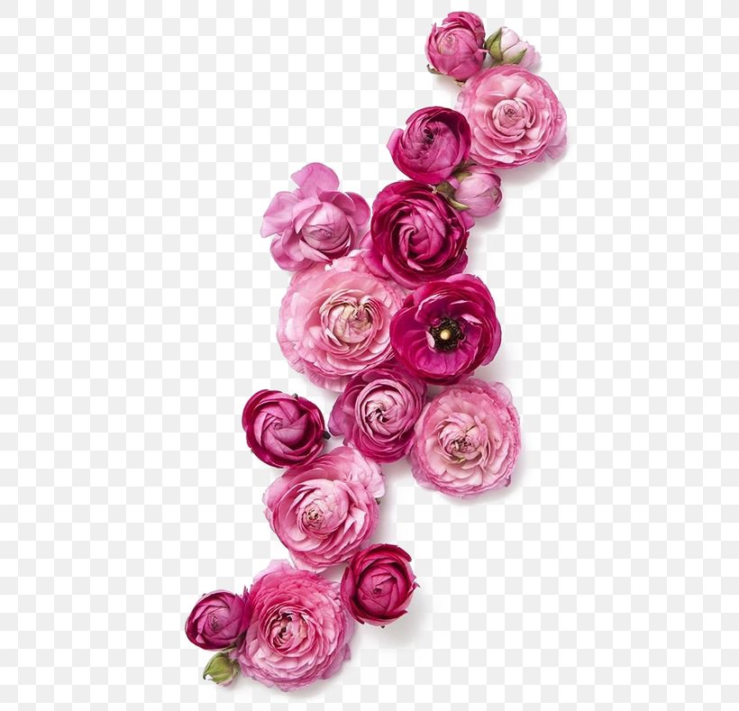Flower Clothing Fashion Pink, PNG, 564x789px, Color, Artificial Flower, Clothing, Cut Flowers, Floral Design Download Free