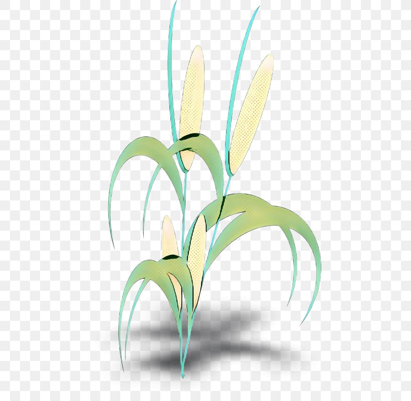 Clip Art Corn On The Cob Plants Leaf, PNG, 486x800px, Corn, Autumn Leaf Color, Botany, Corn On The Cob, Eucalyptus Download Free