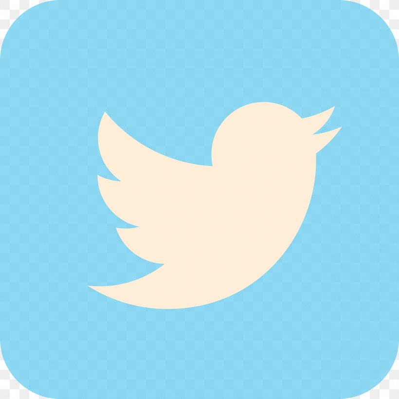 Logo Social Media, PNG, 1280x1280px, Logo, Beak, Bird, Bookmark, Business Download Free