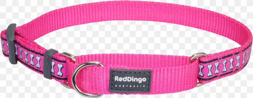 Dog Collar Dingo Martingale, PNG, 3000x1161px, Dog Collar, Bone, Buckle, Cat, Collar Download Free