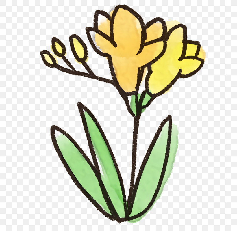 Flower Yellow Plant Pedicel Plant Stem, PNG, 678x800px, Watercolor Flower, Flower, Herbaceous Plant, Pedicel, Plant Download Free