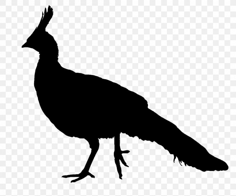 Peafowl Silhouette Bird Clip Art, PNG, 1000x834px, Peafowl, Asiatic Peafowl, Beak, Bird, Black And White Download Free