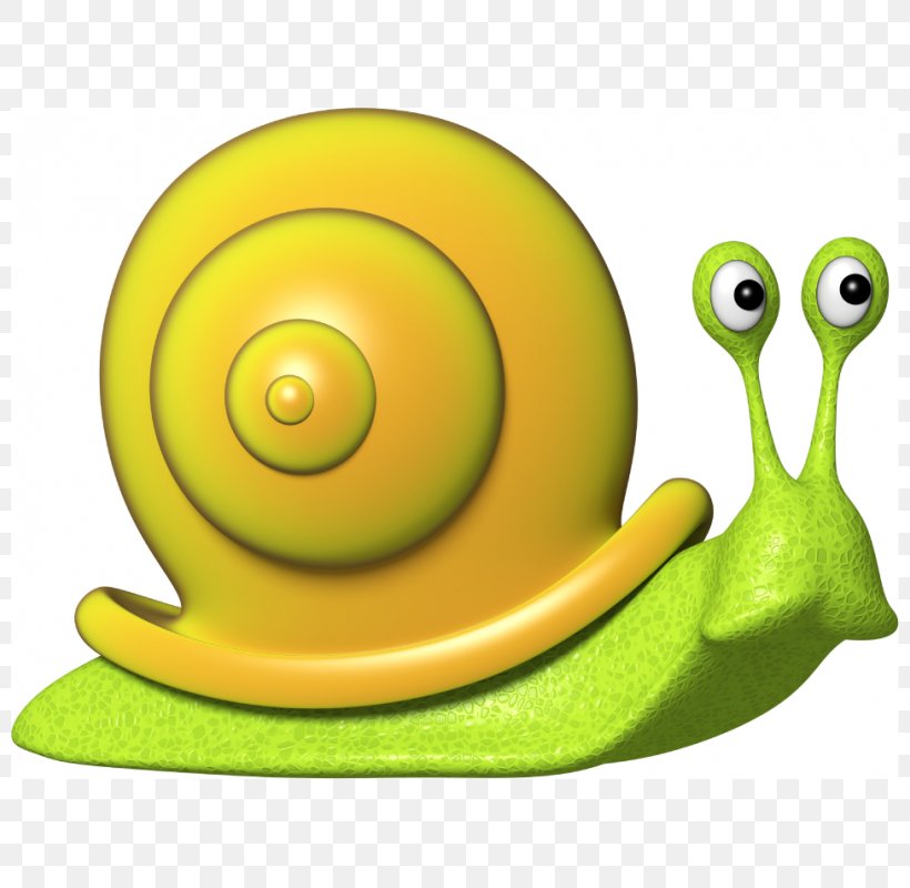 Snail Drawing Escargot Estor Gastropods, PNG, 800x800px, Snail, Animated Cartoon, Blog, Cartoon, Curtain Download Free