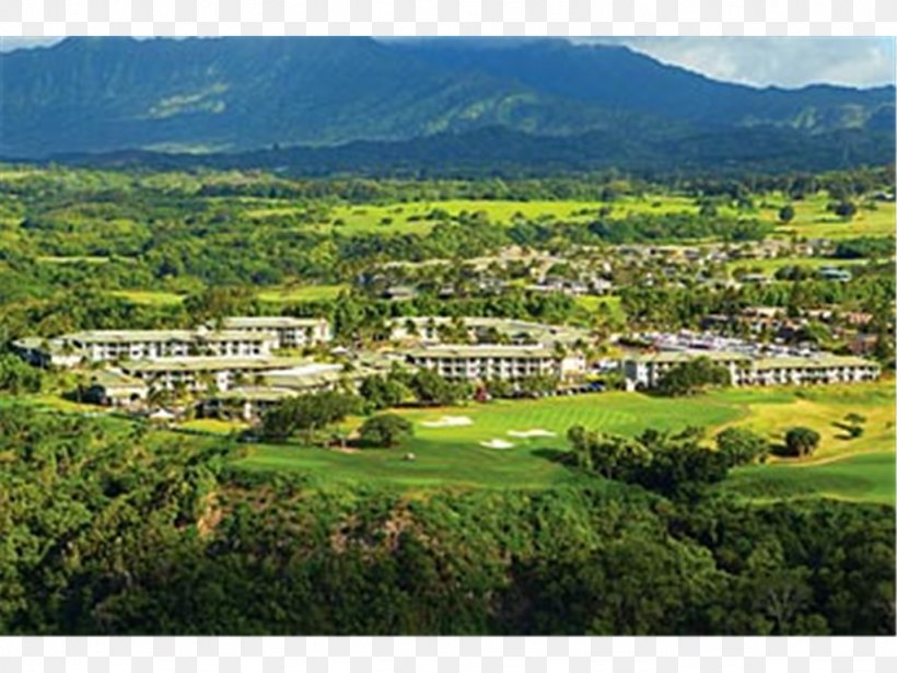 The Westin Princeville Poipu Hotel Villa, PNG, 1024x768px, Westin Princeville, Estate, Golf Course, Grass, Hawaii Download Free