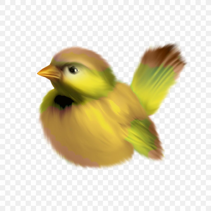 Bird Clip Art, PNG, 1500x1500px, Bird, Animal, Beak, Digital Image, Fauna Download Free