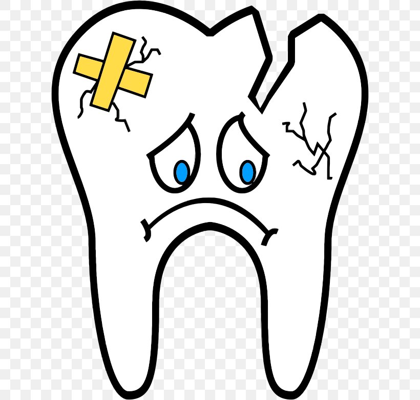 Human Tooth Dentistry Wisdom Tooth Dental Extraction, PNG, 620x780px, Watercolor, Cartoon, Flower, Frame, Heart Download Free