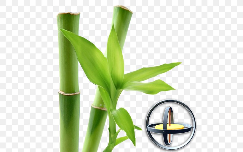 AWESOME Land Magic Flowers Mega Money Android Plant, PNG, 512x512px, Android, App Store, Bamboo, Grass, Grass Family Download Free