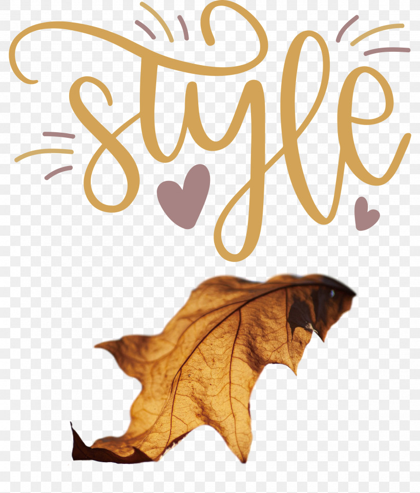 Style Fashion Stylish, PNG, 2556x3000px, Style, Biology, Fashion, Leaf, Meter Download Free