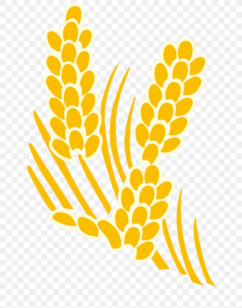 Yellow Rice Clip Art, PNG, 919x1171px, Yellow, Area, Commodity, Flower, Flowering Plant Download Free