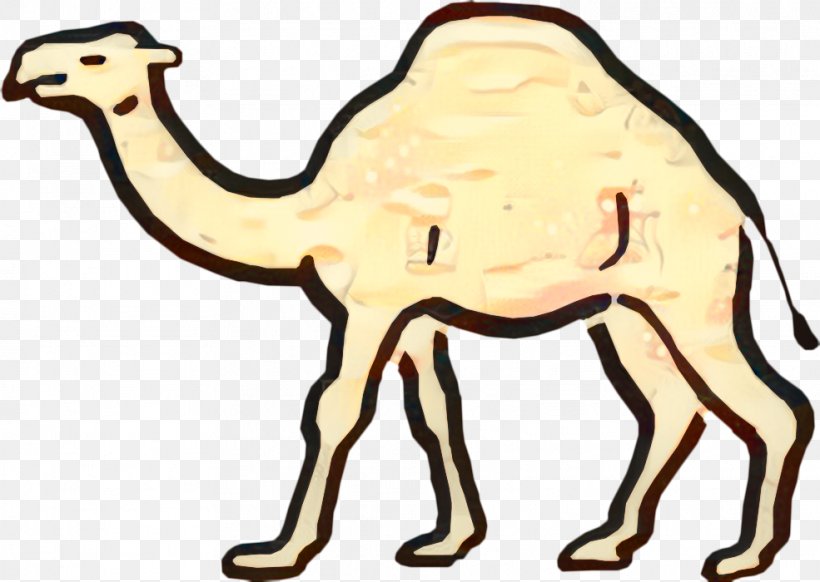 Animal Cartoon, PNG, 985x700px, Dromedary, Animal, Animal Figure, Arabian Camel, Bactrian Camel Download Free
