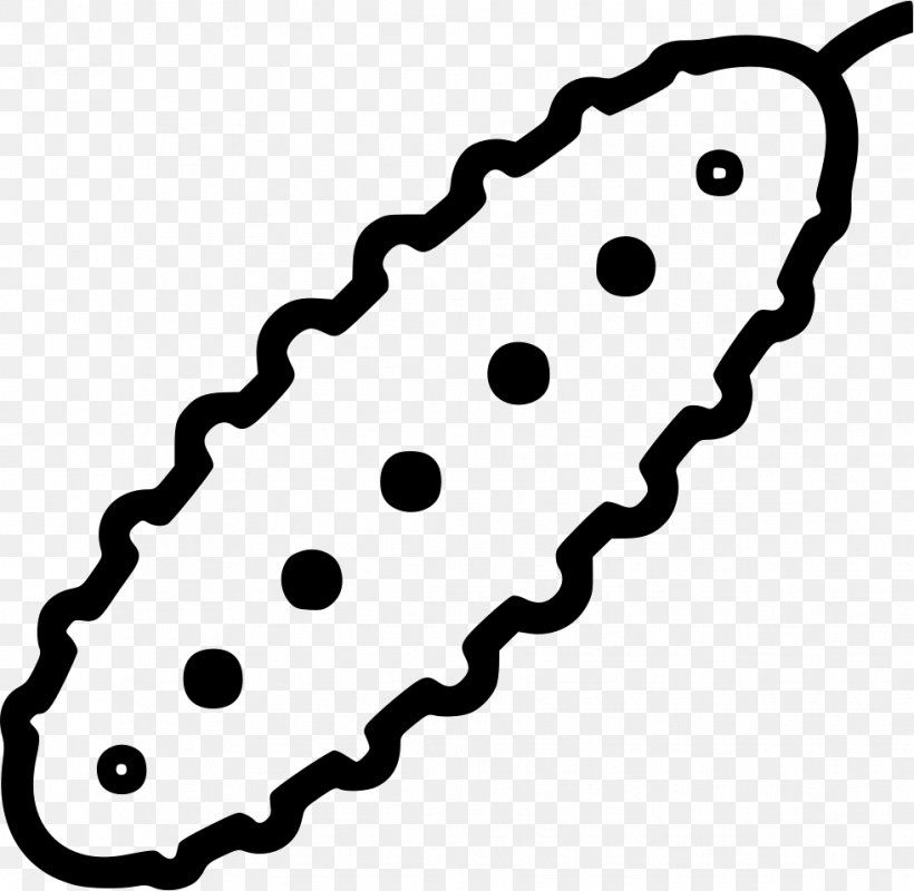 Clip Art Pickled Cucumber, PNG, 981x958px, Pickled Cucumber, Auto Part, Black, Black And White, Body Jewelry Download Free