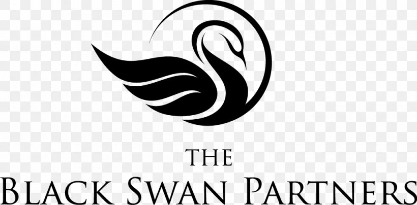 Logo The Black Swan: The Impact Of The Highly Improbable Black Swan Theory Graphic Design, PNG, 1032x509px, Logo, Animal, Artwork, Black And White, Black Swan Download Free