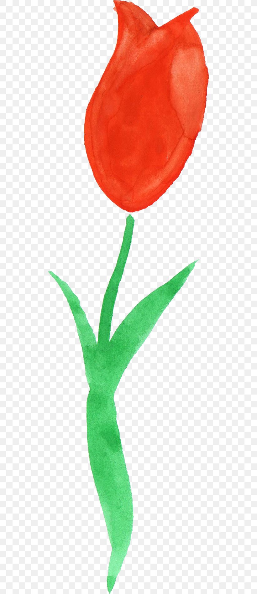 Tulip Watercolor Painting Clip Art, PNG, 513x1897px, Tulip, Flora, Flower, Flowering Plant, Garden Roses Download Free