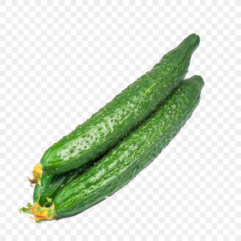 Cucumber Organic Food Vegetable Seed Crisp, PNG, 2953x2953px, Cucumber, Cabbage, Crisp, Cucumber Gourd And Melon Family, Cucumis Download Free