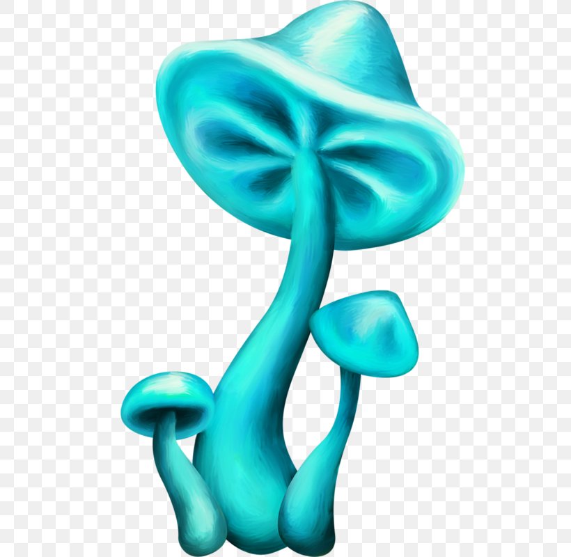 Mushroom Blue Werewere-kokako Fungus Drawing, PNG, 517x800px, Mushroom, Blue, Body Jewelry, Color, Common Mushroom Download Free