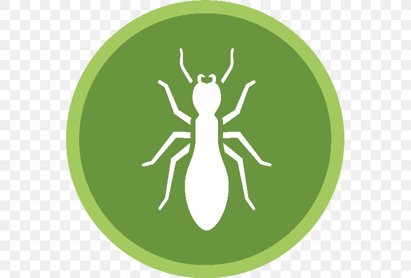 Cockroach Pest Control Exterminator Termite, PNG, 555x555px, Cockroach, Bed Bug, Bed Bug Control Techniques, Bird Control, Exterminator Download Free