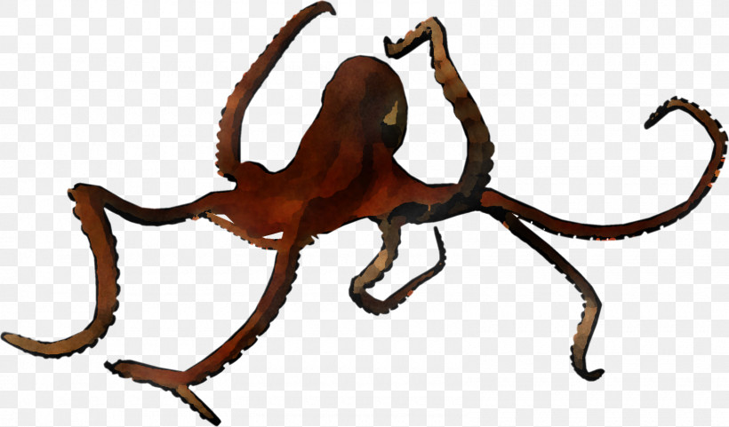 Giant Pacific Octopus Octopus Octopus Animal Figure Insect, PNG, 1600x940px, Giant Pacific Octopus, Animal Figure, Insect, Octopus Download Free