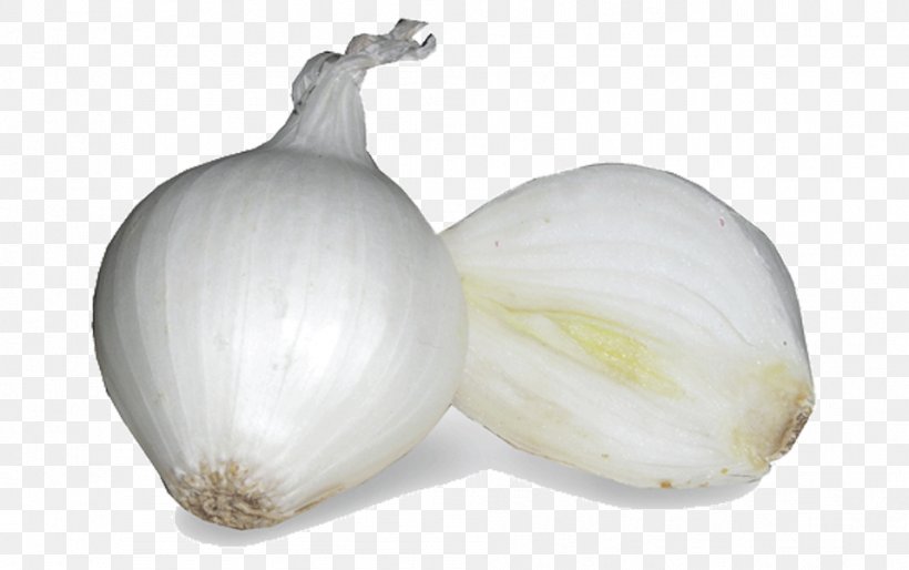 Yellow Onion Garlic Shallots White Onion Pearl Onion, PNG, 957x600px, Yellow Onion, Elephant Garlic, Food, Garlic, Hamburger Download Free