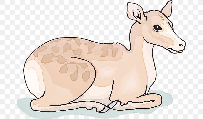 Clip Art Cartoon Wildlife Animal Figure Terrestrial Animal, PNG, 685x480px, Cartoon, Animal Figure, Fawn, Tail, Terrestrial Animal Download Free