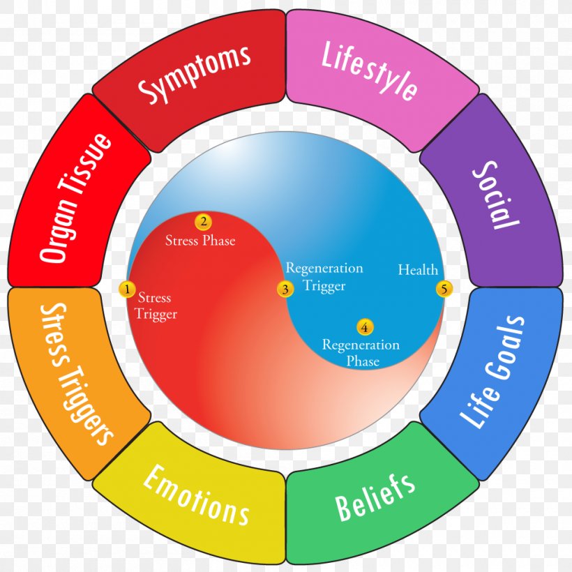 Medical Prescription Lifestyle Prescriptions University Health Professional, PNG, 1000x1000px, Medical Prescription, Area, Brand, Diagram, Education Download Free