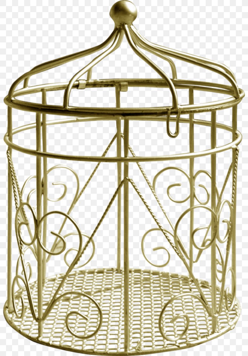 Bird Cage, PNG, 800x1176px, Bird, Animation, Basket, Birdcage, Blog Download Free