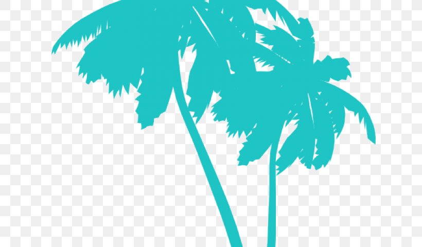 Clip Art Palm Trees Sabal Palm Vector Graphics, PNG, 640x480px, Palm Trees, Arecales, Coconut, Leaf, Palm Tree Download Free