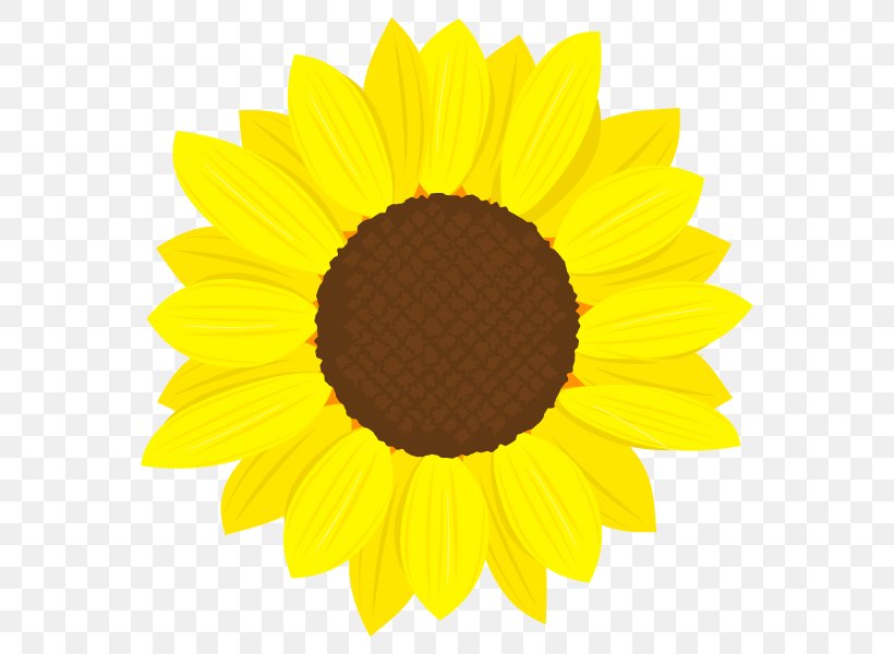 Common Sunflower Clip Art, PNG, 600x600px, Common Sunflower, Art, Daisy Family, Flower, Flowering Plant Download Free