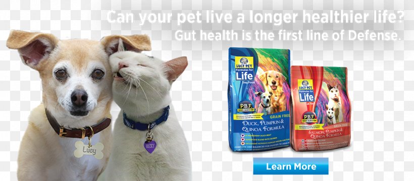 Dog Breed Cat Food Puppy, PNG, 1142x500px, Dog Breed, Cat, Cat Food, Cat Litter Trays, Companion Dog Download Free
