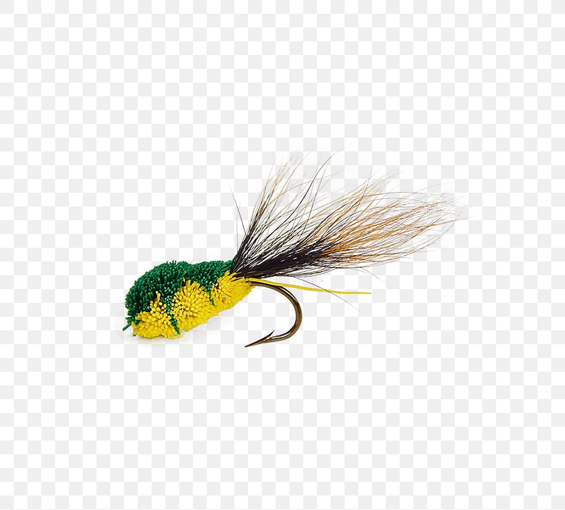 Frog Lithobates Clamitans Insect Holly Flies Product, PNG, 555x741px, Frog, Artificial Fly, Email, Fishing Bait, Fly Download Free