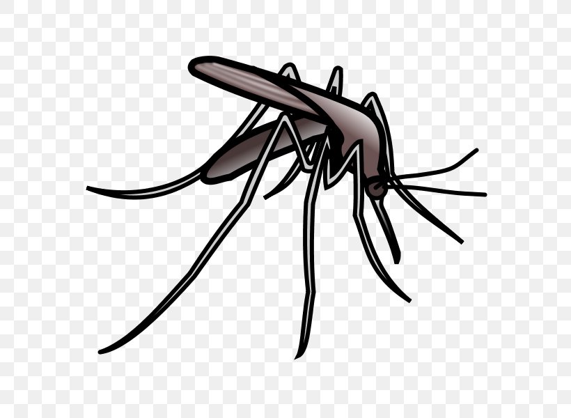 Mosquito Web Browser Clip Art, PNG, 600x600px, Mosquito, Arthropod, Artwork, Black And White, Chironomidae Download Free