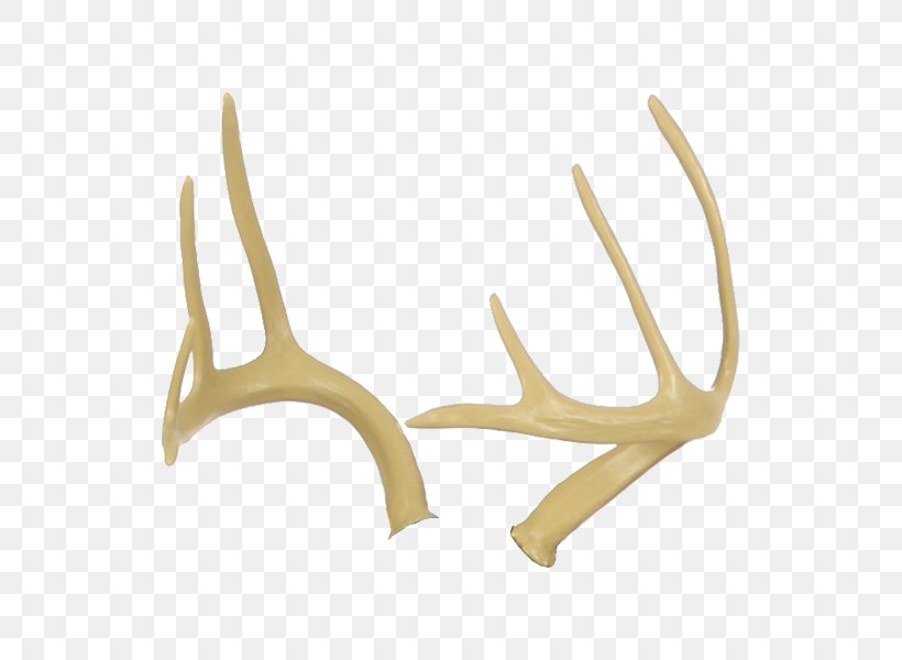 Antler Fallow Deer Elk Horn, PNG, 600x600px, Antler, Animal, Animal Product, Archery, Bear Download Free
