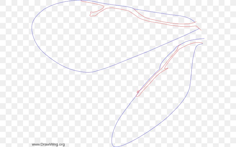 Line Angle, PNG, 600x513px, Neck, Wing Download Free