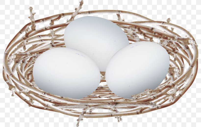 Edible Bird's Nest Egg Bird Nest, PNG, 800x519px, Bird, Bird Eggs, Bird Nest, Clutch, Easter Egg Download Free