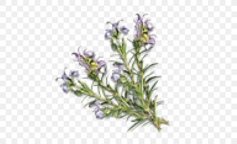 Hot Tub Sauna Rosemary Essential Oil Spa, PNG, 500x500px, Hot Tub, Aromatherapy, Aufguss, Balneotherapy, Bathtub Download Free