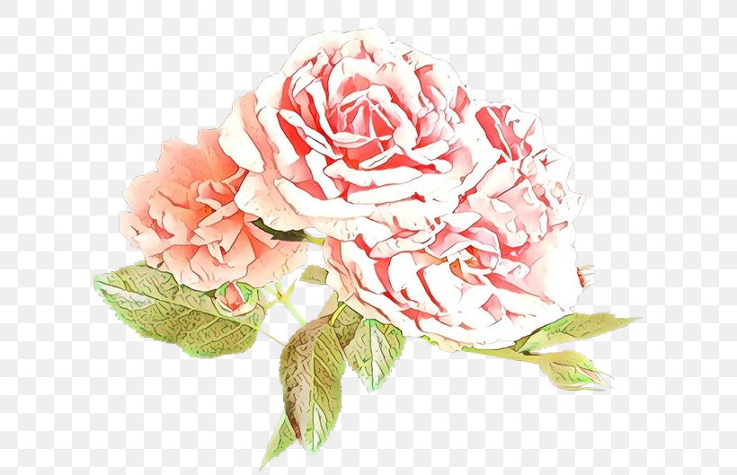 Pink Flower Cartoon, PNG, 640x529px, Cartoon, Artificial Flower, Bouquet, Cabbage Rose, Carnation Download Free
