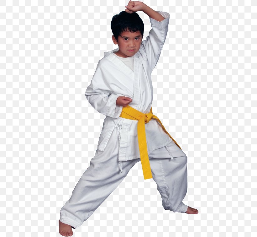Bushido School Of Karate Dobok Martial Arts Self-defense, PNG, 446x755px, Karate, Boy, Child, Clothing, Confidence Download Free