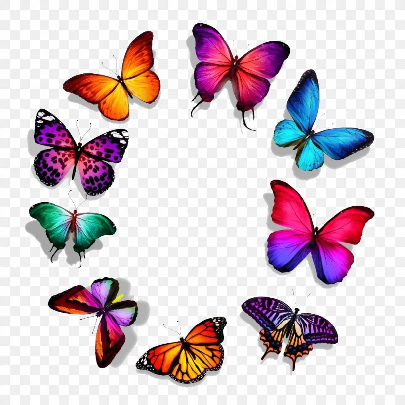 Butterfly Royalty-free Stock Photography, PNG, 1024x1024px, Butterfly, Brush Footed Butterfly, Color, Drawing, Gel Nails Download Free