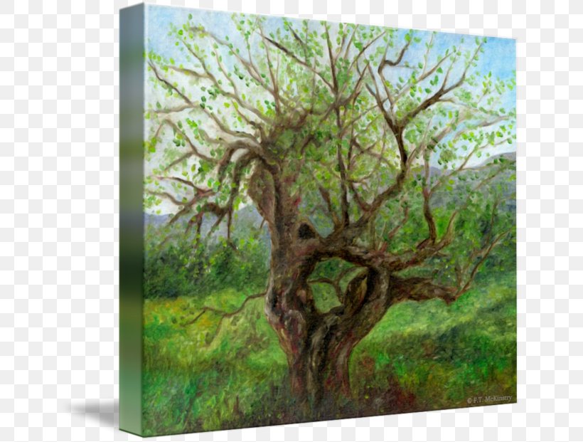 Gallery Wrap Forest Vegetation Canvas Printmaking, PNG, 650x621px, Gallery Wrap, Apple, Art, Branch, Branching Download Free