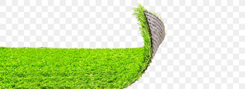 Lawn Artificial Turf Garden Meadow Carpet, PNG, 2100x766px, Lawn, Artificial Turf, Carpet, Garden, Golf Ball Download Free