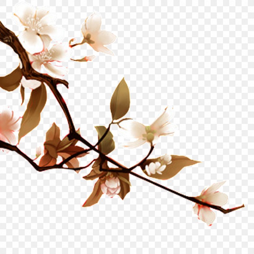 Peach Illustration, PNG, 1024x1024px, Peach, Art, Blossom, Branch, Cherry Blossom Download Free