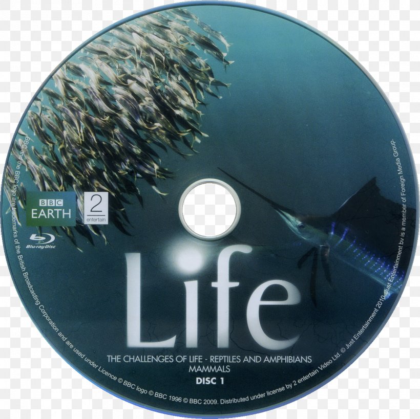 BBC Earth Documentary Film Atlantic Sailfish Compact Disc Discovery Channel, PNG, 1219x1219px, Bbc Earth, Atlantic Sailfish, Bbc, Brand, Compact Disc Download Free