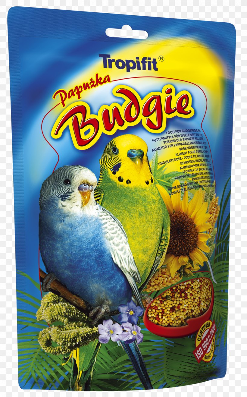 Budgerigar Cockatiel Bird Food Red Factor Canary, PNG, 1195x1920px, Budgerigar, Atlantic Canary, Beak, Bird, Bird Feeders Download Free