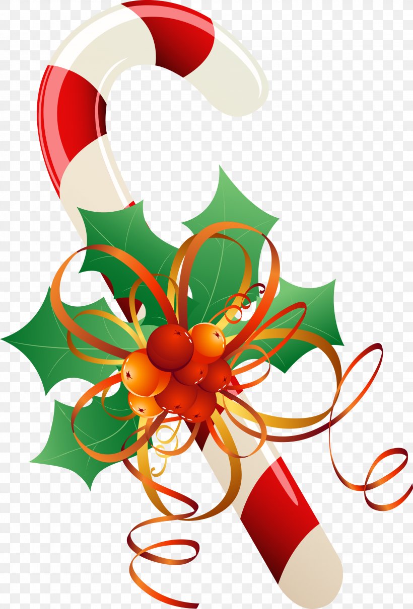 Candy Cane Christmas Ornament Christmas Decoration, PNG, 2920x4315px, Candy Cane, Aquifoliaceae, Candy, Christmas, Christmas Decoration Download Free