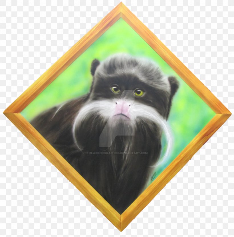 Whiskers Kitten Black Cat Horse Emperor Tamarin, PNG, 889x898px, Whiskers, Art, Black Cat, Carnivoran, Cat Download Free