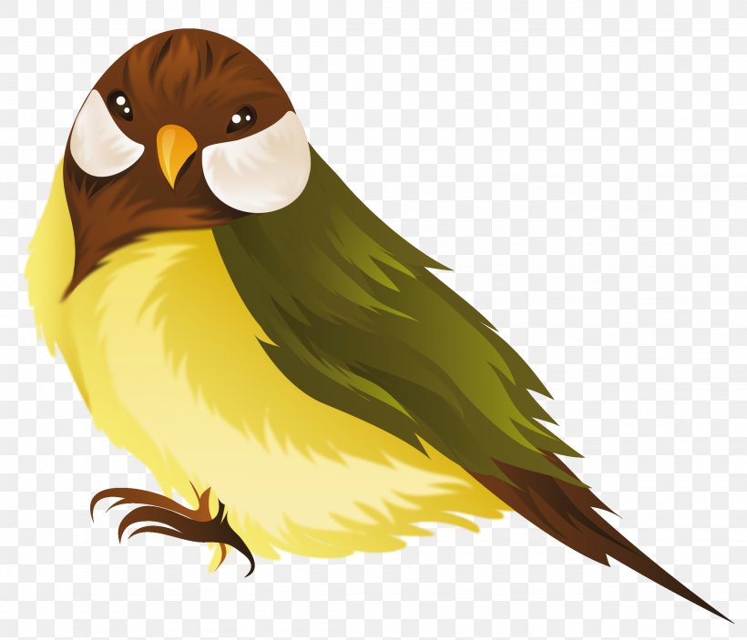 Bird Parrot Clip Art, PNG, 2252x1931px, Bird, Beak, Bird Of Prey, Color, Common Pet Parakeet Download Free