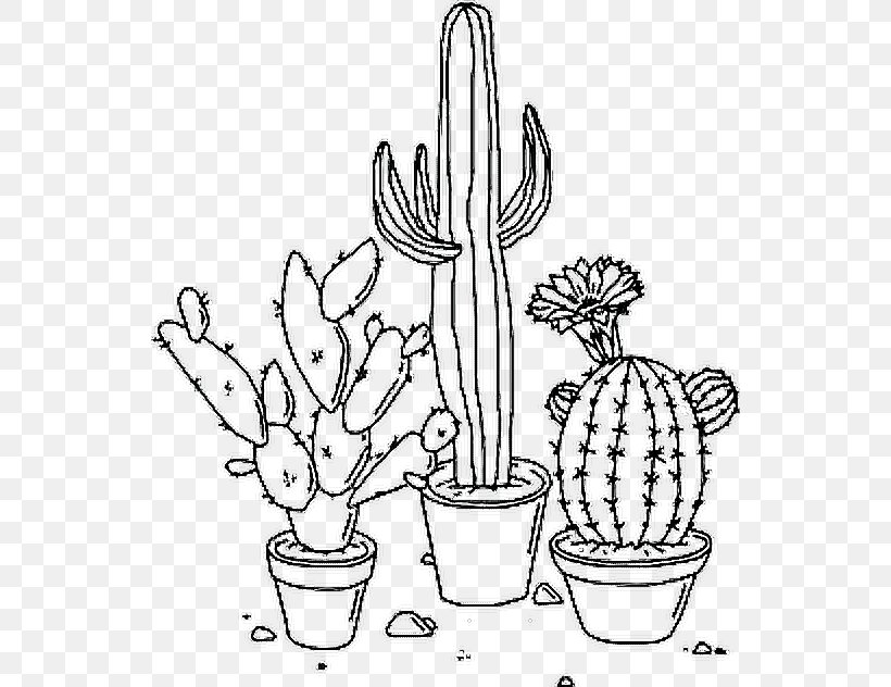 Cactaceae GIF Art Desktop Wallpaper, PNG, 542x632px, Cactaceae, Animation, Black And White, Drawing, Echinopsis Download Free