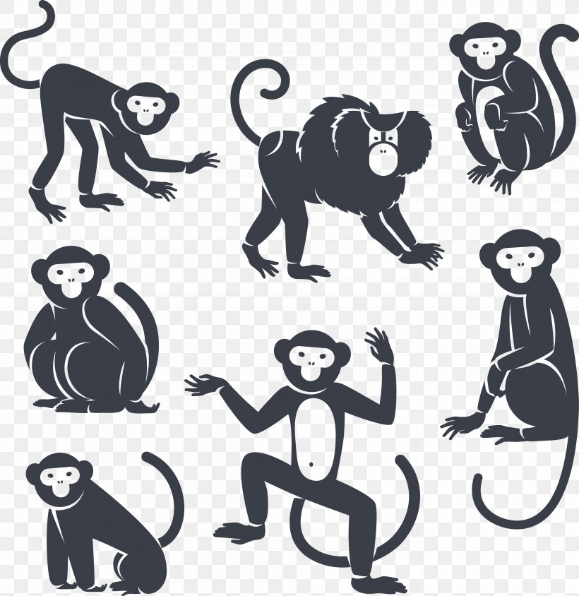 Monkey Royalty-free Marmoset, PNG, 3800x3913px, Monkey, Art, Black And White, Carnivoran, Cat Like Mammal Download Free
