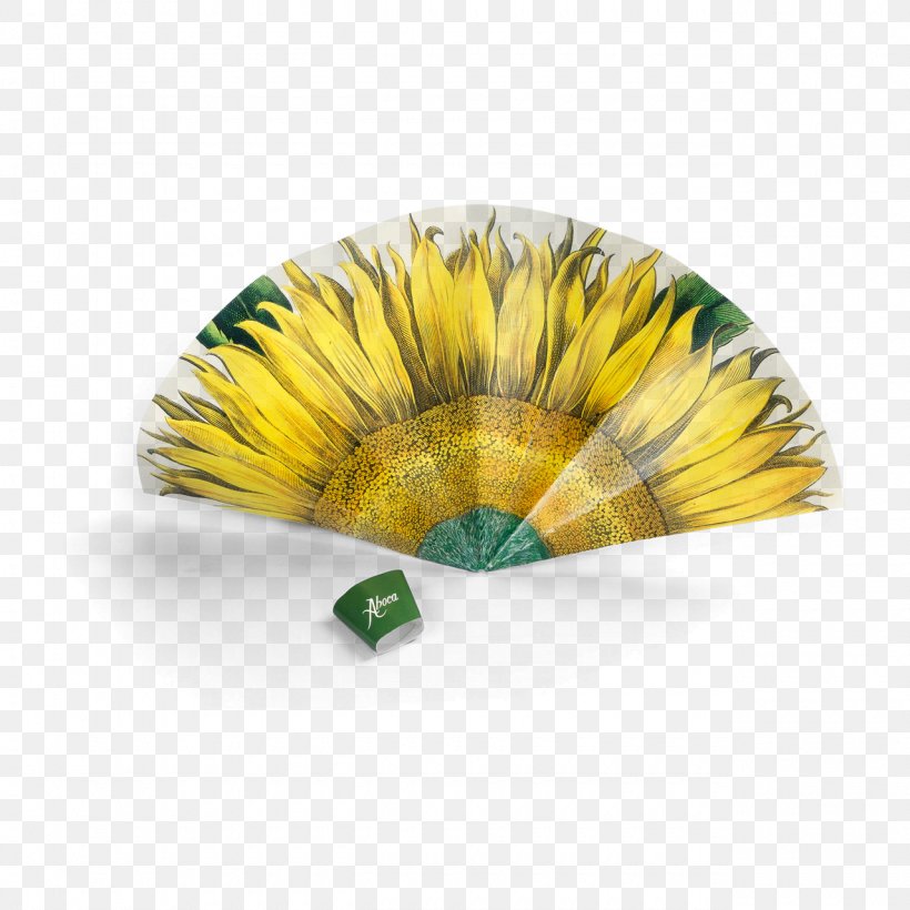 Aboca Museum Paper Common Sunflower Fan, PNG, 1280x1280px, Aboca Museum, Common Sunflower, Decorative Fan, Fan, Flower Download Free