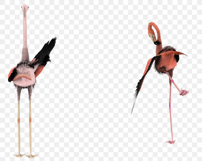 Bird DeviantArt Flamingo, PNG, 900x720px, 3d Modeling, Bird, Art, Beak, Dance Download Free