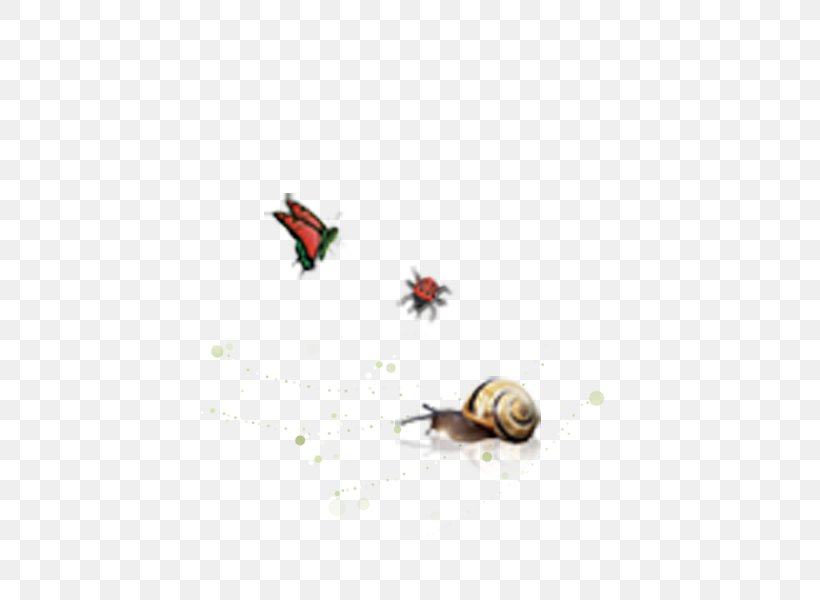 Butterfly Snail Escargot Animal, PNG, 600x600px, Butterfly, Animal, Beetle, Cartoon, Escargot Download Free